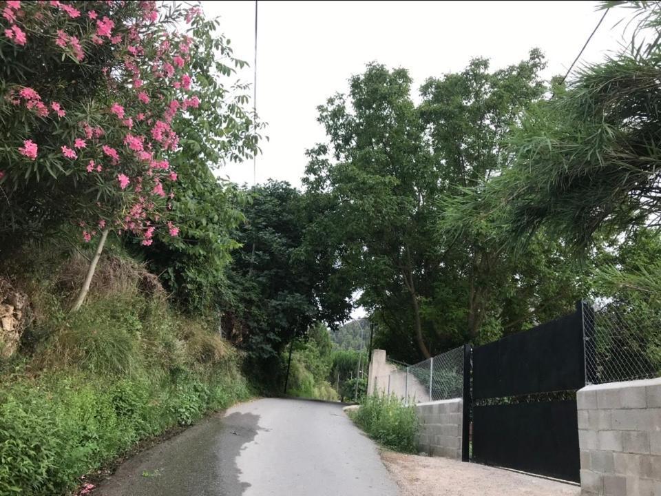 Apartamentos Can Juver 贝塞特 外观 照片
